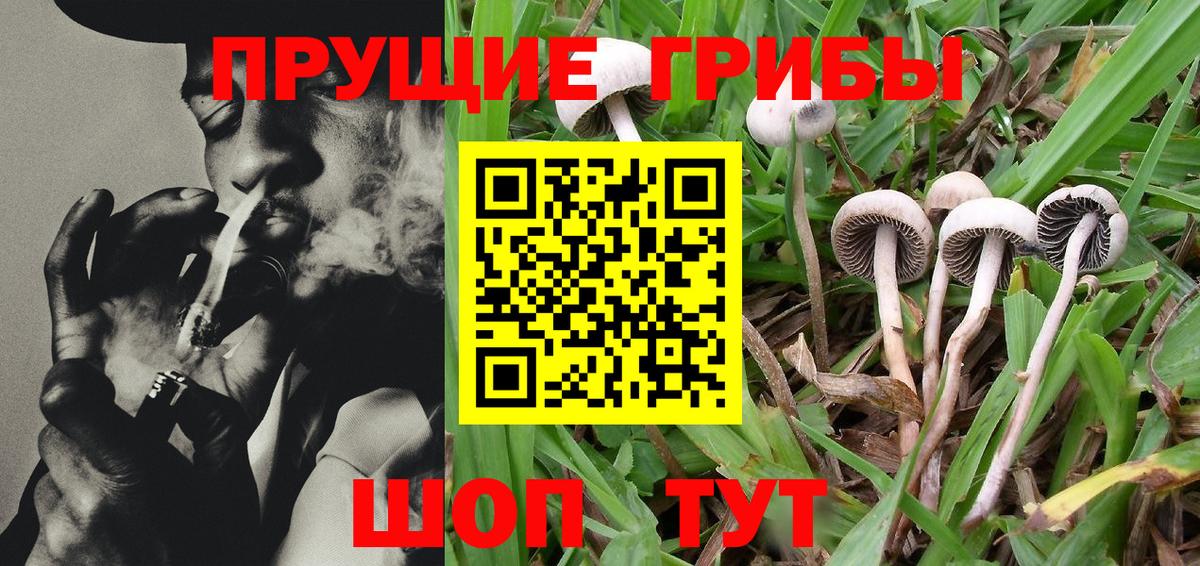 Галлюциногенные грибы GOLDEN TEACHER Златоуст