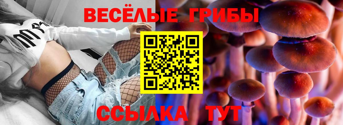 закладка  Галлюциногенные грибы мухоморы  Златоуст  Вход с VPN  Псилоцибиновые грибы Psilocybine cubensis 